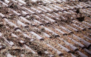 Tyn Y Cwm roof cleaning companies